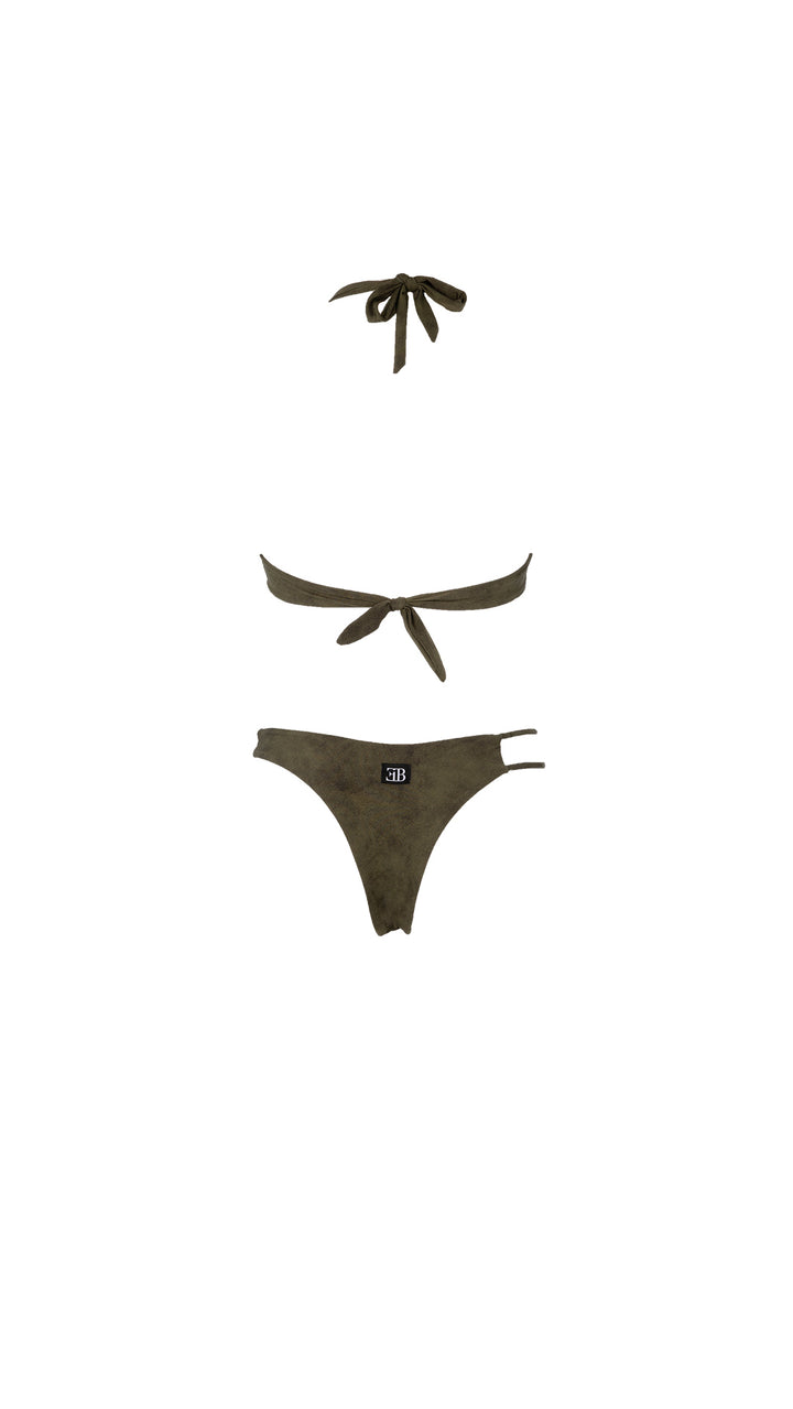ATENA OLIVE